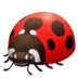 :beetle: