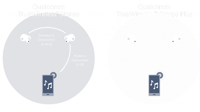 truewireless-diagram