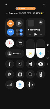 IMG_1424.PNG