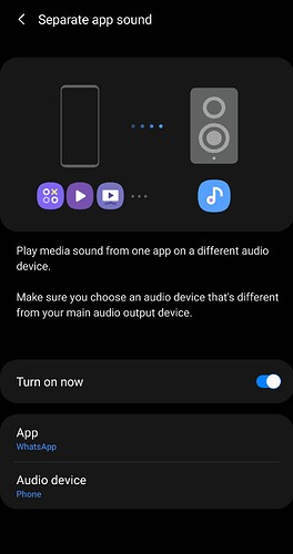 Screenshot_20240206-191532_Separate app sound