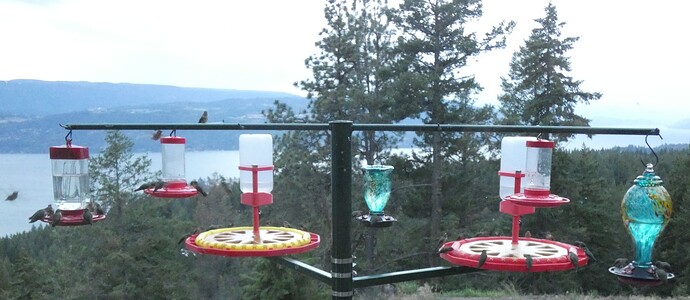 hummers 38