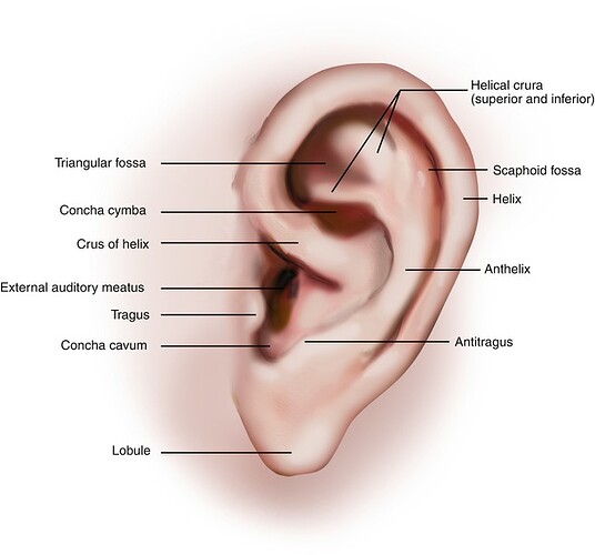 A270654_1_En_7_Fig1_HTML
