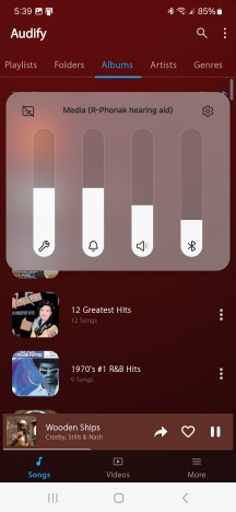 Screenshot_20240627_173920_Audify Music Player