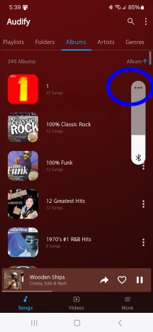 Screenshot_20240627_173906_Audify Music Player